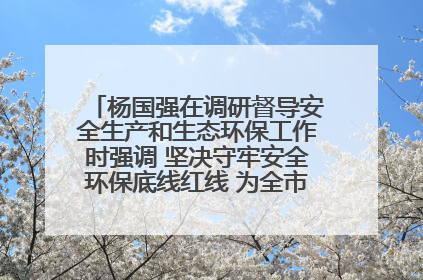 杨国强在调研督导安全生产和生态环保工作时强调 坚决守牢安全环保底线红线 为全市经济社会高质量发展提供坚强保障