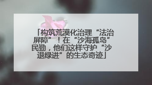 构筑荒漠化治理“法治屏障”！在“沙海孤岛”民勤，他们这样守护“沙退绿进”的生态奇迹