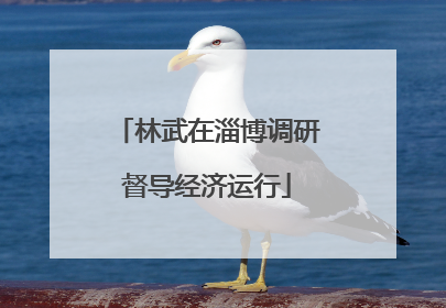 林武在淄博调研督导经济运行