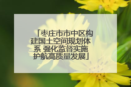 枣庄市市中区构建国土空间规划体系 强化监督实施护航高质量发展