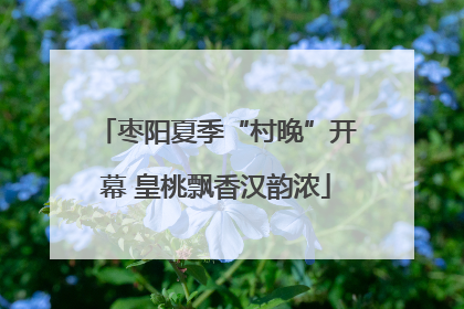 枣阳夏季“村晚”开幕 皇桃飘香汉韵浓