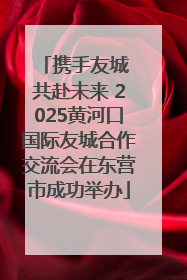 携手友城 共赴未来 2025黄河口国际友城合作交流会在东营市成功举办