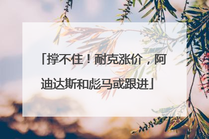 撑不住！耐克涨价，阿迪达斯和彪马或跟进