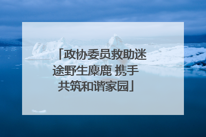 政协委员救助迷途野生麋鹿 携手共筑和谐家园