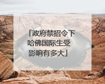 政府禁招令下 哈佛国际生受影响有多大