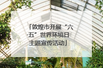 敦煌市开展“六·五”世界环境日主题宣传活动