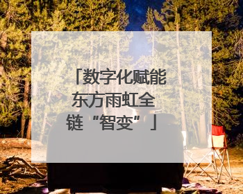 数字化赋能 东方雨虹全链“智变”