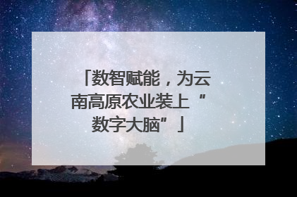 数智赋能，为云南高原农业装上“数字大脑”