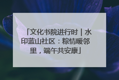 文化书院进行时｜水印蓝山社区：粽情暖邻里，端午共安康