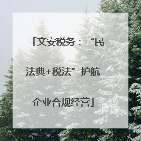 文安税务：“民法典+税法”护航企业合规经营