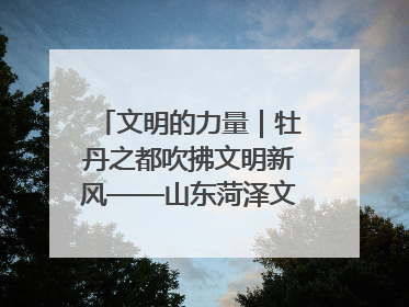 文明的力量｜牡丹之都吹拂文明新风——山东菏泽文明创建一线见闻