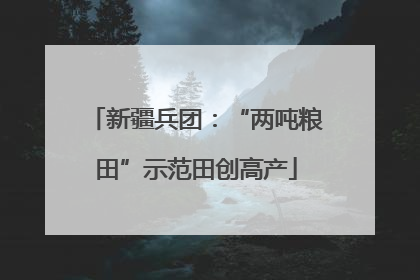 新疆兵团：“两吨粮田”示范田创高产