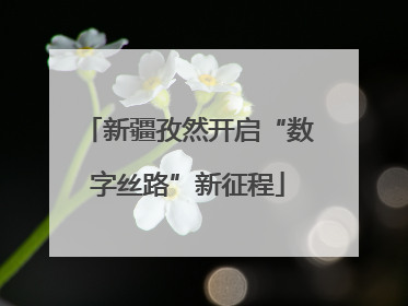 新疆孜然开启“数字丝路”新征程