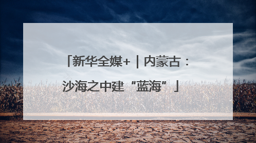 新华全媒+｜内蒙古：沙海之中建“蓝海”