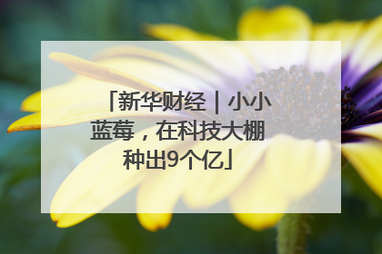 新华财经｜小小蓝莓，在科技大棚种出9个亿