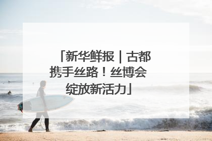 新华鲜报｜古都携手丝路！丝博会绽放新活力