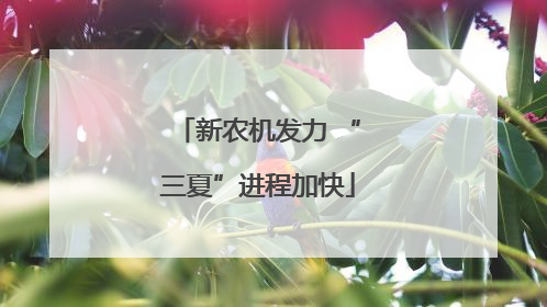 新农机发力 “三夏”进程加快