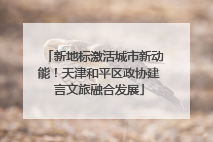 新地标激活城市新动能！天津和平区政协建言文旅融合发展