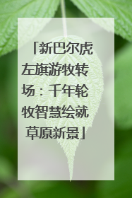新巴尔虎左旗游牧转场：千年轮牧智慧绘就草原新景