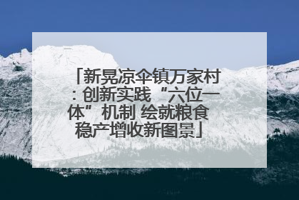 新晃凉伞镇万家村：创新实践“六位一体”机制 绘就粮食稳产增收新图景