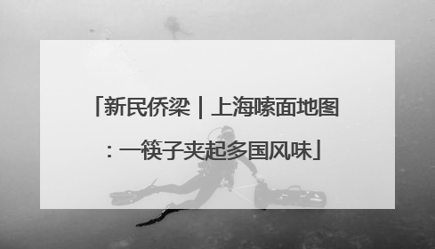新民侨梁｜上海嗦面地图：一筷子夹起多国风味