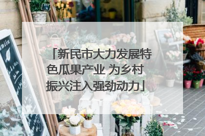 新民市大力发展特色瓜果产业 为乡村振兴注入强劲动力