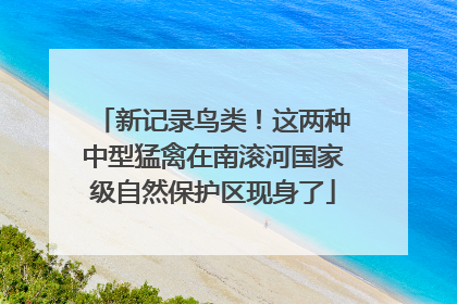 新记录鸟类！这两种中型猛禽在南滚河国家级自然保护区现身了