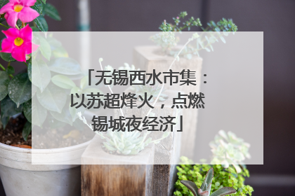 无锡西水市集：以苏超烽火，点燃锡城夜经济