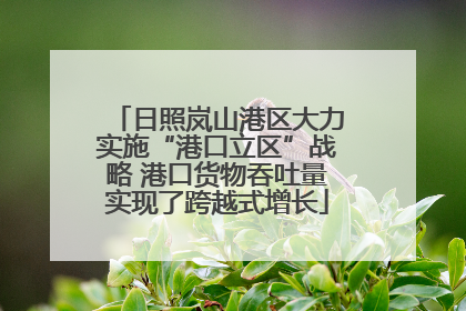 日照岚山港区大力实施“港口立区”战略 港口货物吞吐量实现了跨越式增长