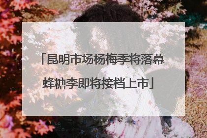 昆明市场杨梅季将落幕 蜂糖李即将接档上市