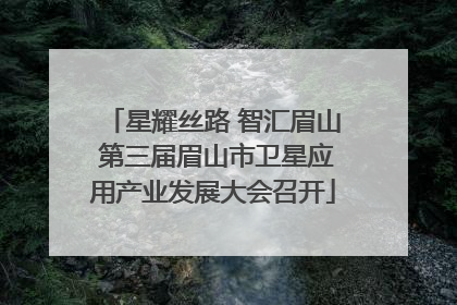 星耀丝路 智汇眉山 第三届眉山市卫星应用产业发展大会召开