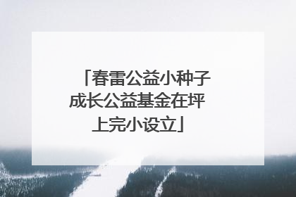 春雷公益小种子成长公益基金在坪上完小设立
