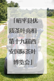 昭平县优质茶叶亮相第十九届西安国际茶叶博览会
