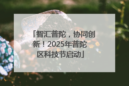 智汇普陀，协同创新！2025年普陀区科技节启动