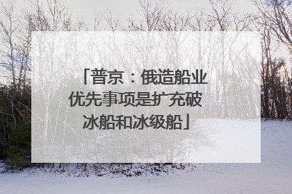 普京：俄造船业优先事项是扩充破冰船和冰级船