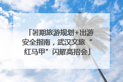暑期旅游规划+出游安全指南，武汉文旅“红马甲”闪耀高招会