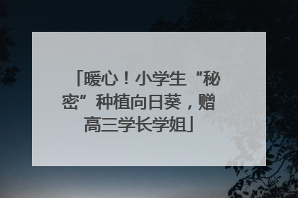 暖心！小学生“秘密”种植向日葵，赠高三学长学姐