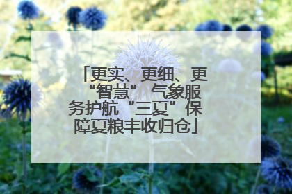 更实、更细、更“智慧” 气象服务护航“三夏”保障夏粮丰收归仓