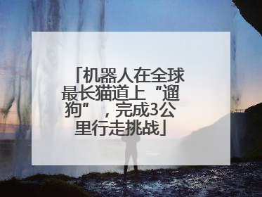机器人在全球最长猫道上“遛狗”，完成3公里行走挑战