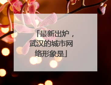 最新出炉，武汉的城市网络形象是
