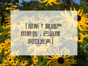 最新！莫迪严厉警告，巴总理同日发声