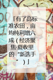 有了高标准农田，亩均纯利增六成（经济聚焦·夏收里的“新选手”）