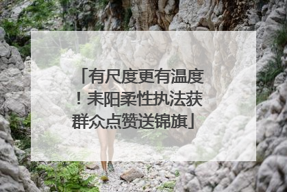 有尺度更有温度！耒阳柔性执法获群众点赞送锦旗