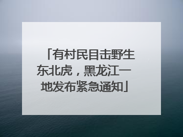 有村民目击野生东北虎，黑龙江一地发布紧急通知