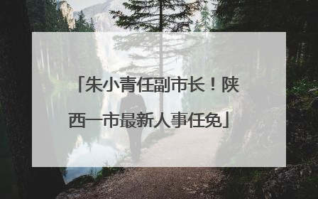 朱小青任副市长！陕西一市最新人事任免
