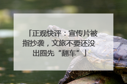 正观快评：宣传片被指抄袭，文旅不要还没出圈先“翻车”