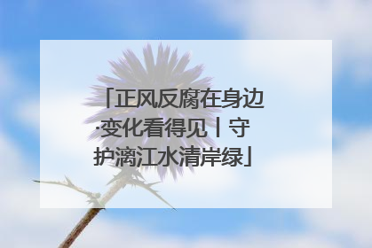 正风反腐在身边·变化看得见丨守护漓江水清岸绿