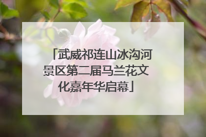 武威祁连山冰沟河景区第二届马兰花文化嘉年华启幕