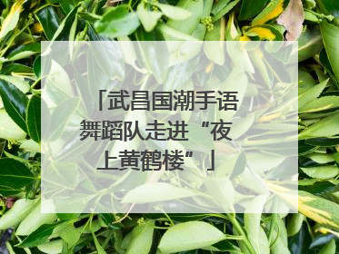 武昌国潮手语舞蹈队走进“夜上黄鹤楼”