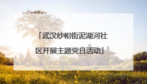 武汉纱帽街泥湖河社区开展主题党日活动